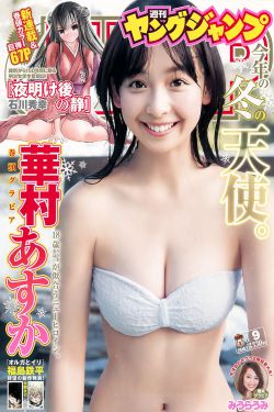 芝麻胡同 电视剧